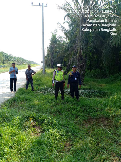 Tabrakan dengan Mobil Pikap, Karyawan PT MAS di Bengkalis Meninggal di Tempat
